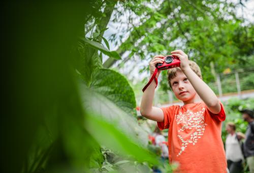 Boy taking photo in Rainforest Biome at Eden Project